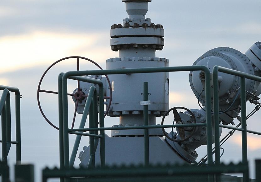 Gaspreise: Wirtschaftsweiser will europäisches Einkaufskartell