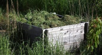Städtetag fordert bundesweites Nachtfahrverbot für Mähroboter