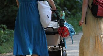 Anteil der Eltern mit Elterngeld Plus auf Höchststand