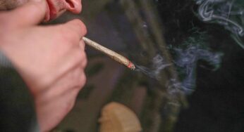 Gesundheitsministerium will Gespräche über Cannabisgesetz führen