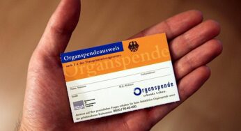 Studie sieht Potenzial für mehr Organspenden nach Herzstillstand