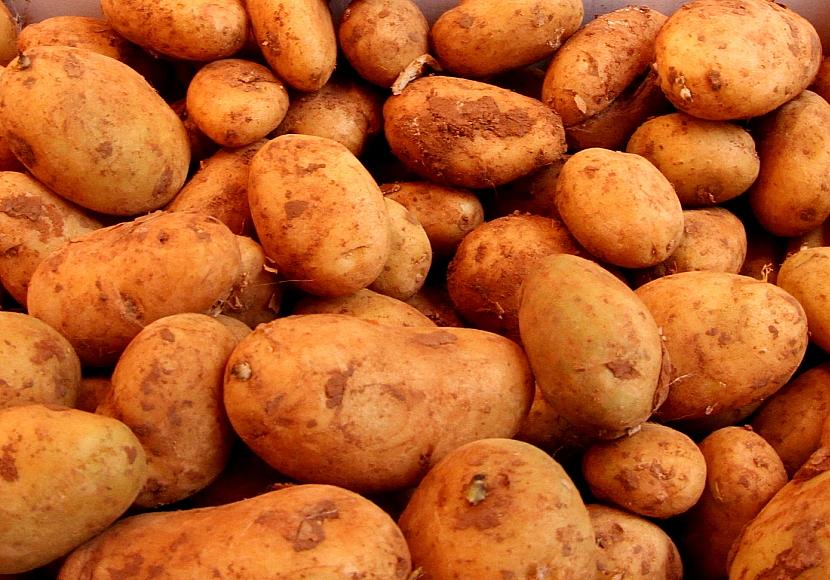 Landwirtschaftliche Erzeugerpreise im Februar deutlich gesunken