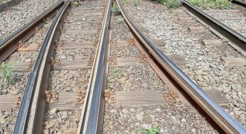 Kosten der Deutschen Bahn für Unkrautvernichtung steigen drastisch