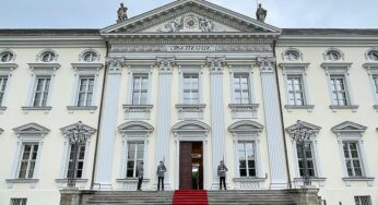 Frösche aus Bellevue-Teich ziehen in Ausweichquartier