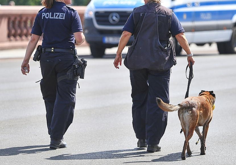 Bundespolizei fehlen Hunderte Sprengstoffhunde