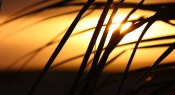 Mehrere Todesfälle: Reisegigant TUI unter Druck