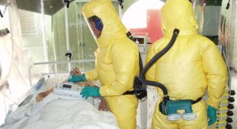 Tödliche Gefahr: Ebola-Virus ist in Deutschland gelandet