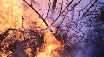Riesiger Waldbrand in Nordrhein-Westfalen schockt ganz Deutschland
