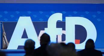 Wirtschaft streitet über Umgang mit AfD