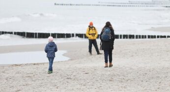 WZB-Präsidentin warnt vor Kürzungen beim Elterngeld