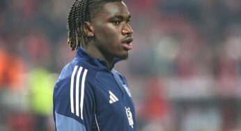 1. Bundesliga: HSV schlägt Freiburg