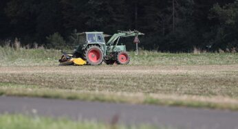 Verbraucherzentrale kritisiert EU-Gentechnik-Entscheidung