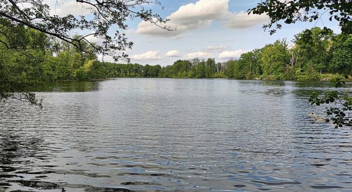 DLRG verzeichnet mehr tödliche Wasserunfälle in Badesaison