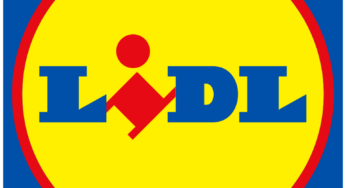 Erbrechen und Durchfall: Dringender Tiefkühlprodukt-Rückruf bei Lidl