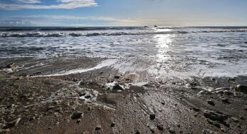 Studie: Klimawandel verursacht extreme Meerestemperaturen in Europa