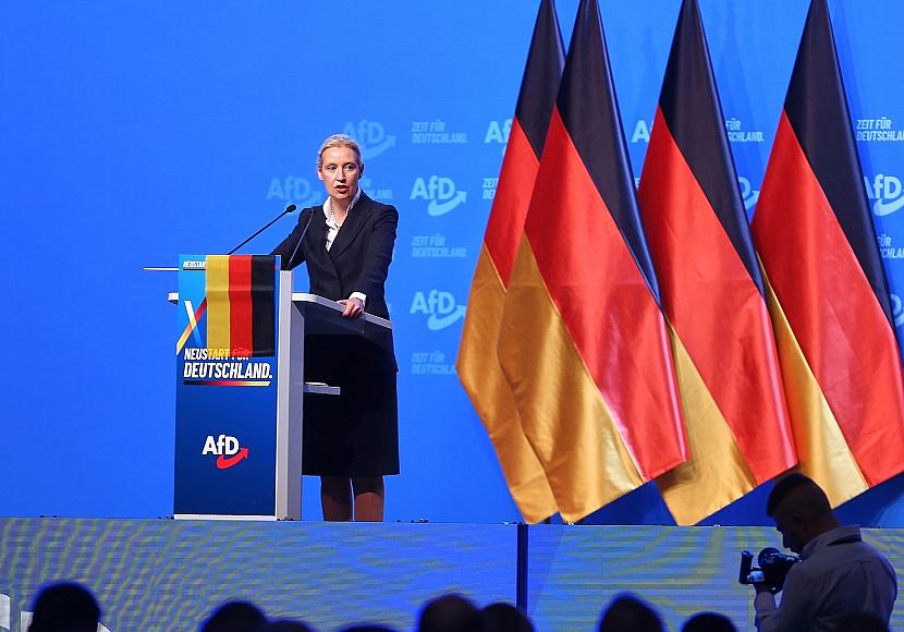 Politologe: Weidels Macht in der AfD ist begrenzt