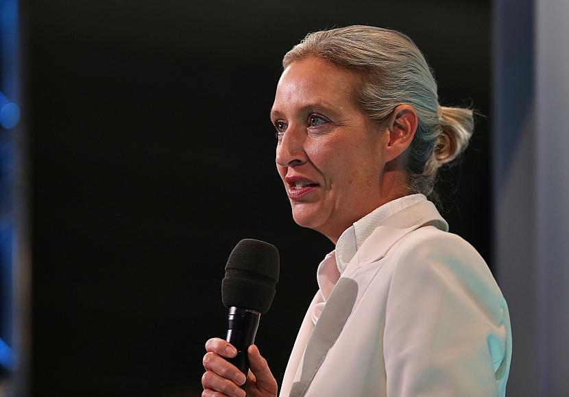 Politbarometer: AfD legt zu – Grüne und Linke verlieren