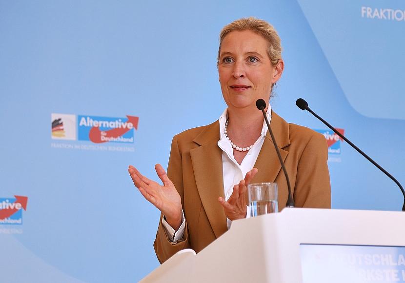 Brandmauer: AfD begrüßt Antrag aus Brandenburger Mittelstandsunion