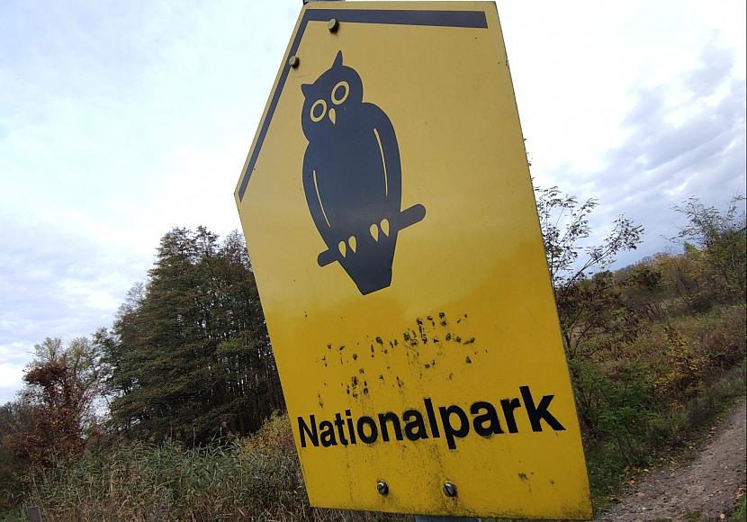 Waldbrand-Experte kritisiert Löschstrategie im Müritz-Nationalpark