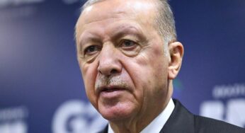 Linke wirft Bundesregierung „Doppelmoral“ im Umgang mit Erdogan vor