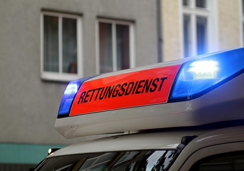 Hitze: Verbände wollen Verfassungsänderung für mehr Klimaanpassung