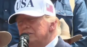 Trump-Familie gefährdet Albaniens EU-Mitgliedschaft