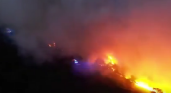 Neue Gefahr: Feuer erreicht Kernkraftwerk