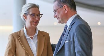 Forsa: AfD bleibt auf Rekordhoch