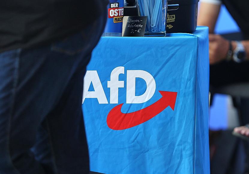 Israels Ex-Botschafter Stein: Brandmauer zur AfD ist gescheitert