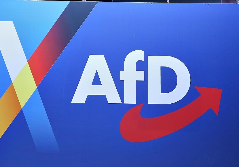 Umfrage: Jeder Fünfte würde bei AfD-Regierung auswandern