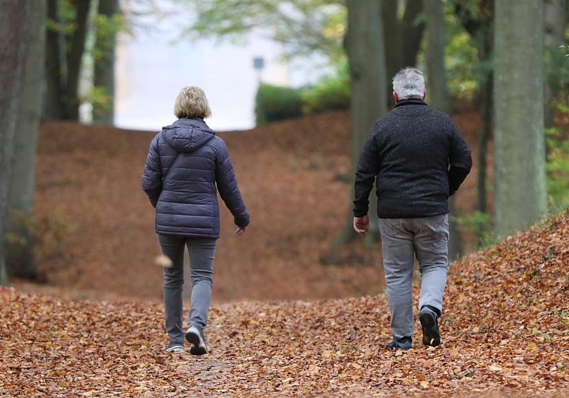 CSU-Landesgruppenchef: Härtefallregelung bei Rente mit 63 nötig