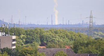 Kommunen fordern mehr Tempo im Kampf gegen Sozialmissbrauch