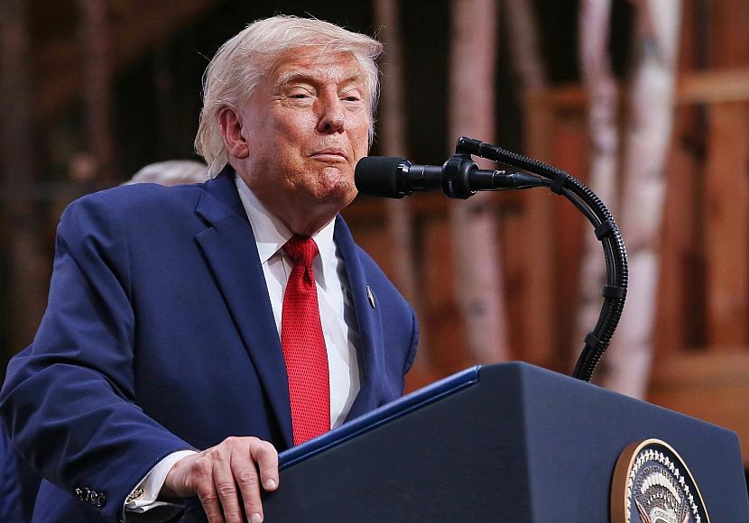 Bundesregierung weist Trumps Ratschläge zur AfD zurück