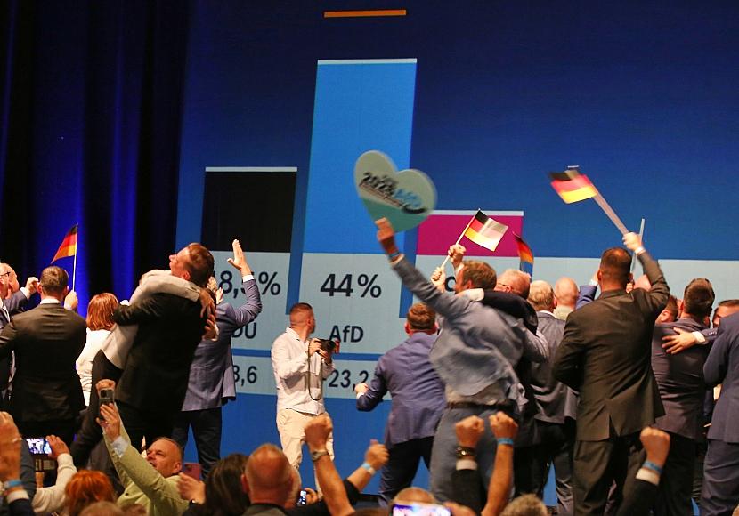 Polen warnt vor AfD