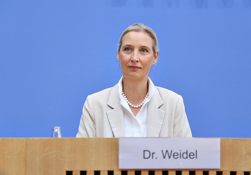 Weidel kritisiert Wüst wegen AfD-Prüfvorstoß