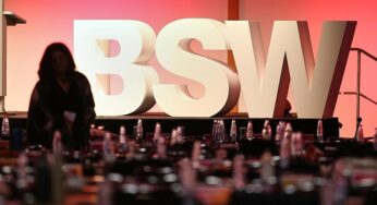 Sachsen-Anhalt: BSW gegen Ministerpräsidenten von AfD oder CDU