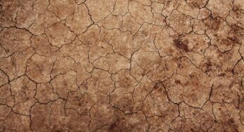 „Krise von nationaler Tragweite“: Ernten brechen ein