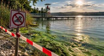 Offizielle Warnung: An vielen deutschen Bade-Stellen herrscht Lebensgefahr