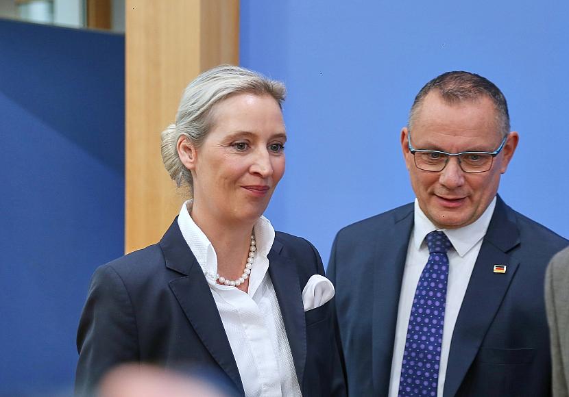 AfD bleibt in Allensbach-Umfrage klar stärkste Kraft