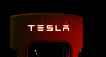 Weitreichende Verbote von BYD- und Tesla-Modellen